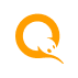 Логотип QIWI партнер для погашения и получения онлайн займа